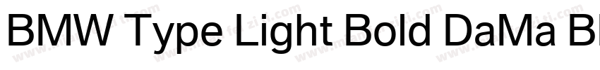 BMW Type Light Bold DaMa BMWType Bo字体转换